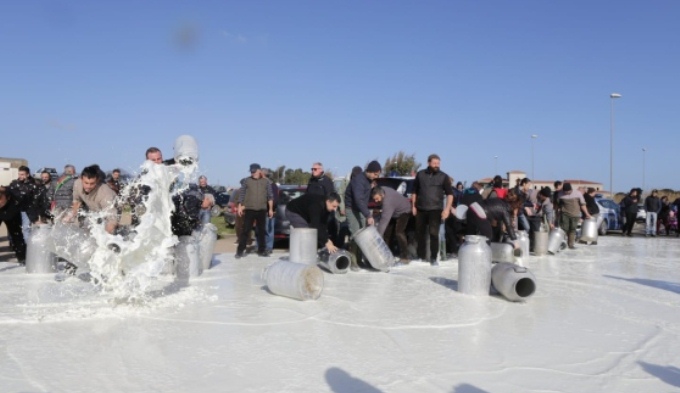Protestat: Terhiqet qeveria, fermeret e qumeshtit do kompensohen me 10 leke per liter